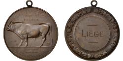 World Coins - Belgium, Medal, Business & industry, , Bronze