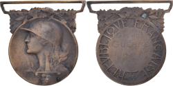 World Coins - France, Grande Guerre, Medal, 1914-1918, Very Good Quality, Morlon, Bronze, 33