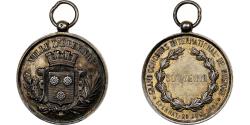 World Coins - France, Medal, Concours International de Musique d'Epernay, 1884, Silver