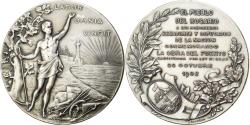 World Coins - Argentina, Medal, El Pueblo del Rosario, 1902, Silver Plated Copper, Gottuzzo