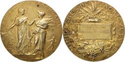 World Coins - France, Medal, French Third Republic, Politics, Society, War, 1921, Dubois.A