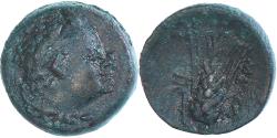 Lucania coins for sale - Buy Lucania coins from the most respected