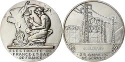 World Coins - France, Medal, Électricité de France et gaz de France, Silvered bronze