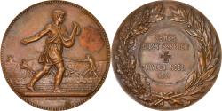 World Coins - France, Medal, Agriculture, Semer, C'est Espérer, Joyeux Noël, 1951, Dubois.H