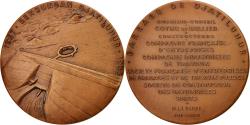 World Coins - Indonesia, Medal, Barrage de Bendungan Djatiluhur, Business & industry, 1965