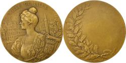 World Coins - France, Medal, Ville de Lille, Dubois.H, , Bronze