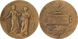 World Coins - France, Medal, Concours Régional Hippique de Nevers, 1902, Bronze, Dubois.A