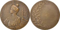 World Coins - France, Medal, French Third Republic, Politics, Society, War, Dubois.A
