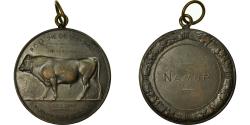 World Coins - Belgium, Medal, Agriculture, Amélioration de la Race Bovine, Namur, Dillens