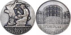World Coins - France, Medal, Industrie du Gaz de France, Silvered bronze, Dropsy,