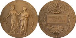 World Coins - France, Medal, Concours Central Hippique de Paris, 1906, Bronze, Alphée Dubois