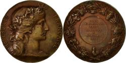 World Coins - France, Medal, Société d'Agriculture de l'Oise, Beauvais, 1911, Dupuis.D