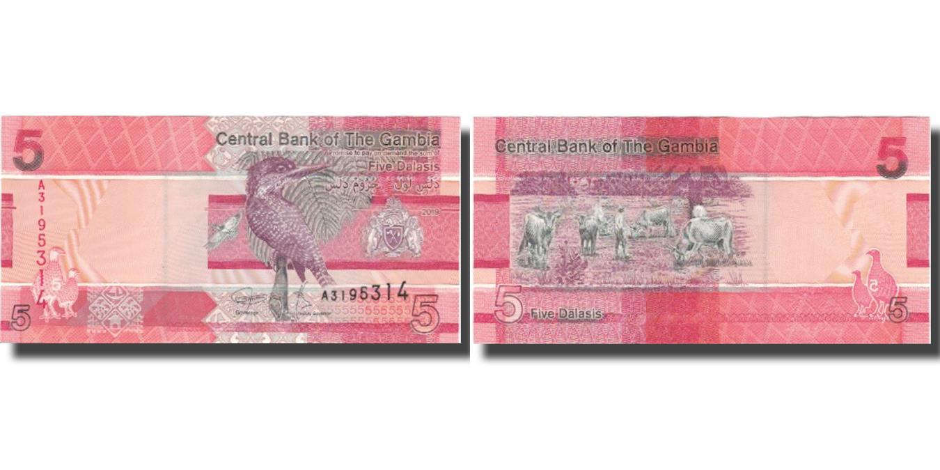 Banknote, Gambia, 5 Dalasis, 2019, 2019, UNC(65-70) | World Paper Money