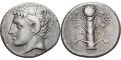 Ancient Coins - Kyrenaica, Magas, Didrachm, ca. 294-275 BC, Kyrene, Silver, , BMC:237