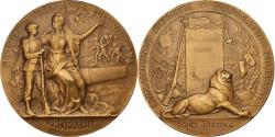 World Coins - France, Medal, French Third Republic, History, Grandhomme, , Bronze