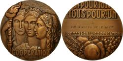 World Coins - France, Medal, Hommage de la Coopération, Pelletier, Art deco, , Bronze