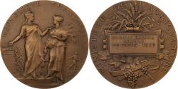 World Coins - France, Medal, Concours Général Agricole de Paris, 1909, Bronze,