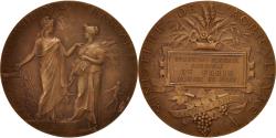 World Coins - France, Medal, Agriculture Ministery, Business & industry, Dubois.A,