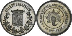 World Coins - Belgium, Medal, Pierre Dustin, Ami des Lumières, Ville de Bruxelles, 1879