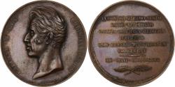 World Coins - France, Medal, Charles X, Monument à la mémoire de Louis XVI, 1826, Bronze