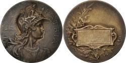 World Coins - France, Medal, French Third Republic, Politics, Society, War, Rasumny