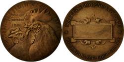 World Coins - France, Medal, Société Centrale d'Aviculture de France, 1891, Dropsy