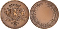 World Coins - France, Medal, Valenciennes a bien mérité de la Patrie, Politics, Society