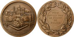 World Coins - France, Medal, Ile de la Cité, Notre Dame, Paris, Bronze, Turin,