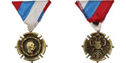 World Coins - Serbia, Médaille commémorative de Serbie, WAR, Medal, 1914-1918, Uncirculated