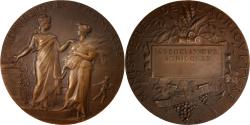 World Coins - France, Medal, Agriculture Ministery, French Third Republic, Business &