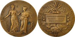 World Coins - France, Medal, Agriculture, Concours Général, Paris, Commissariat, 1903