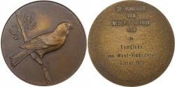World Coins - Netherlands, Medal, Dutch Minister of Culture, Cycling, 1976, Bronze