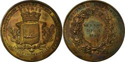 World Coins - France, Medal, Luttes Colombophiles, Colombe Patriotique, Vernon, 1889