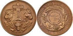 World Coins - France, Medal, Agriculture, Concours général de Nevers, Nièvre, 1899, Bronze