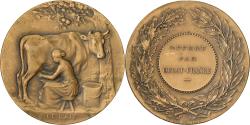World Coins - France, Medal, Le Lait, Ouest-France, Bronze, Lenoir,