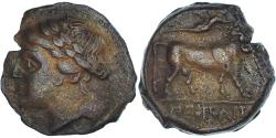 Ancient Coins - Coin, Campania, Æ, ca. 250-225 BC, Neapolis, , Bronze, HGC:1-482