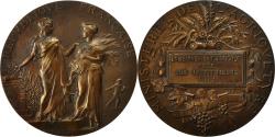 World Coins - France, Medal, Enseignement Agricole, Prix aux Instituteurs, 1919, Dubois.A