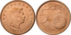 World Coins - Luxembourg, 5 Euro Cent, 2005, Vantaa, Copper Plated Steel,