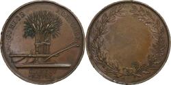 World Coins - France, Medal, Comice Agricole de Clamecy, Nièvre, n.d., Copper,