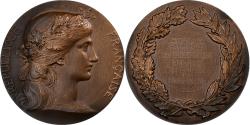 World Coins - France, Medal, Médaille d'honneur de la pisciculture, Bronze, Dubois.H
