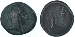 Lucania coins for sale - Buy Lucania coins from the most respected