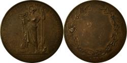 World Coins - France, Medal, Ligue Nationale contre l'Alcoolisme, Oudiné, , Bronze
