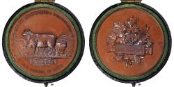 World Coins - France, Medal, Société d'Agriculture des Bouches-du-Rhônes, Arles, 1895