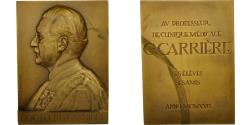 World Coins - France, Medal, Médecine, Professeur Carrière, 1929, H. Soubricas,