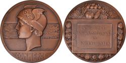 World Coins - France, Medal, Chambre de Commerce de Valenciennes, Business & industry
