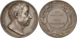 World Coins - France, Medal, Lycée Louis-Le-Grand, Quirinus Visconti, Dubois.H,