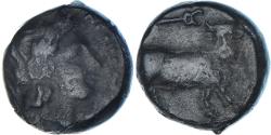 Ancient Coins - Coin, Campania, Æ, ca. 317-270 BC, Neapolis, , Bronze, SNG-Cop:493