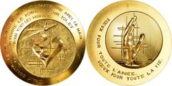 World Coins - France, Medal, Voeux, Nouvelle Année, 1981, Bouyon, , Gilt Bronze