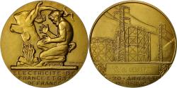 World Coins - France, Medal, Électricité de France et gaz de France, Dropsy,