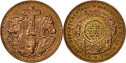 World Coins - France, Medal, Société d'Agriculture de la Nièvre, 1879, Tasset,